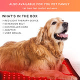 bonodave thérapie lumière rouge animaux, soutien potentiel pour chiens et chats