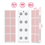 BONTANNY DELs à double puce 480, irradiation homogène.