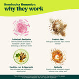 Gommes BoochBod Orme-Glissant-Dandelion-Detox: favorise detox naturel et digestion plus douce.