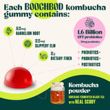 Gommes BoochBod Vegan-Non-GMO-Sans-Gluten: adaptée au mode de vie vegan et intolérances.