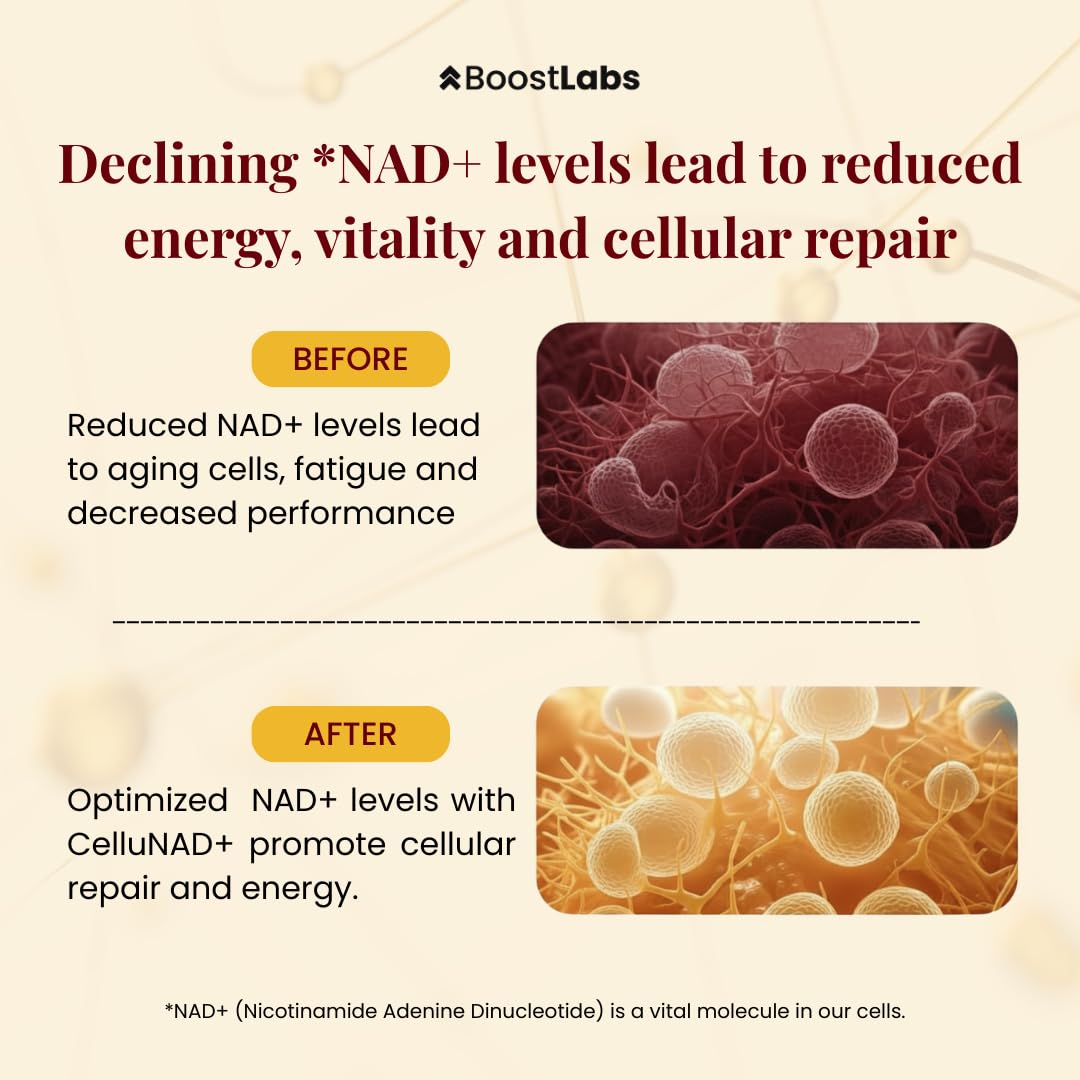 Boost Labs Liposomal NAD+ – soin peau et renouvellement cellulaire.