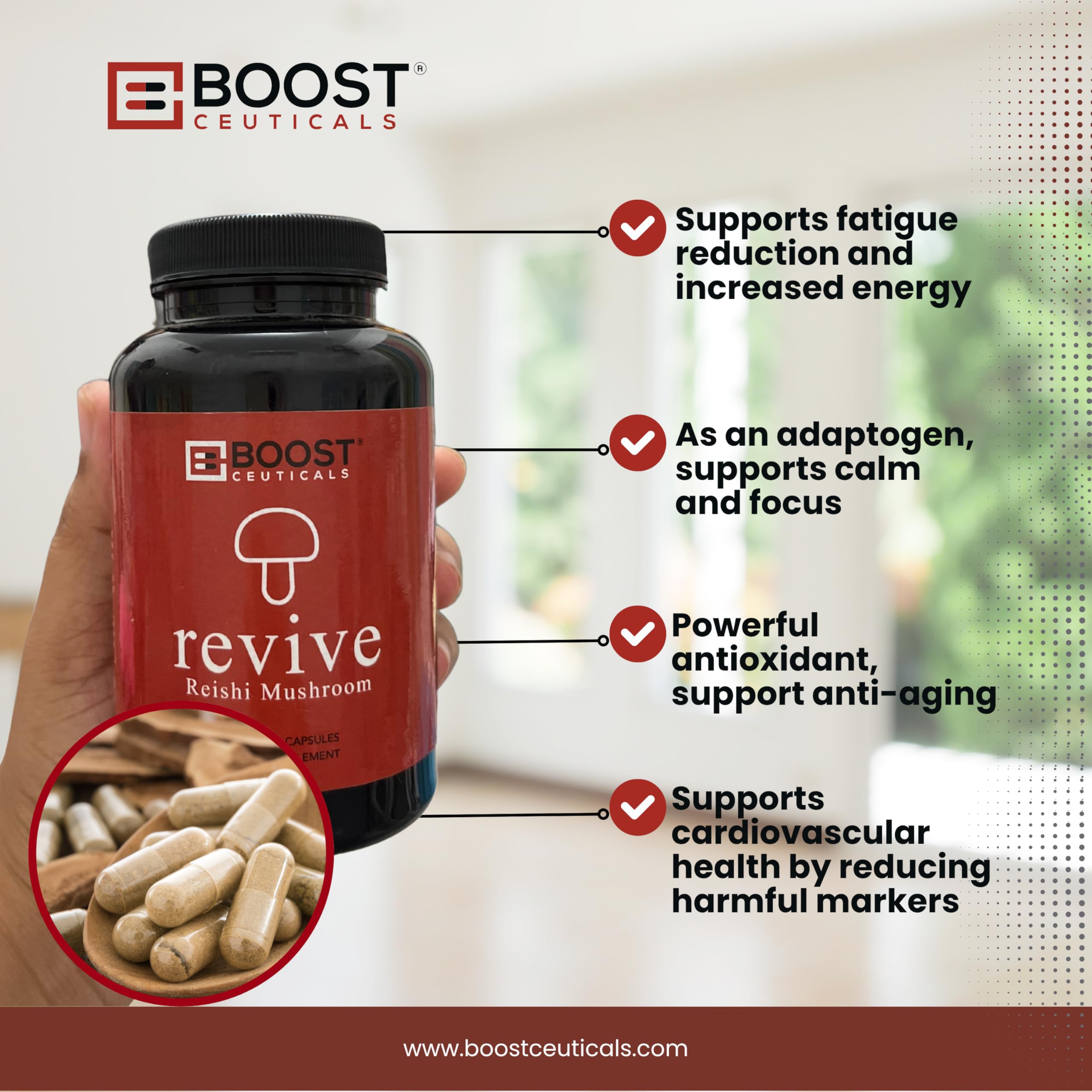 Extrait pur Ganoderma lucidum BoostCeuticals: qualité premium.