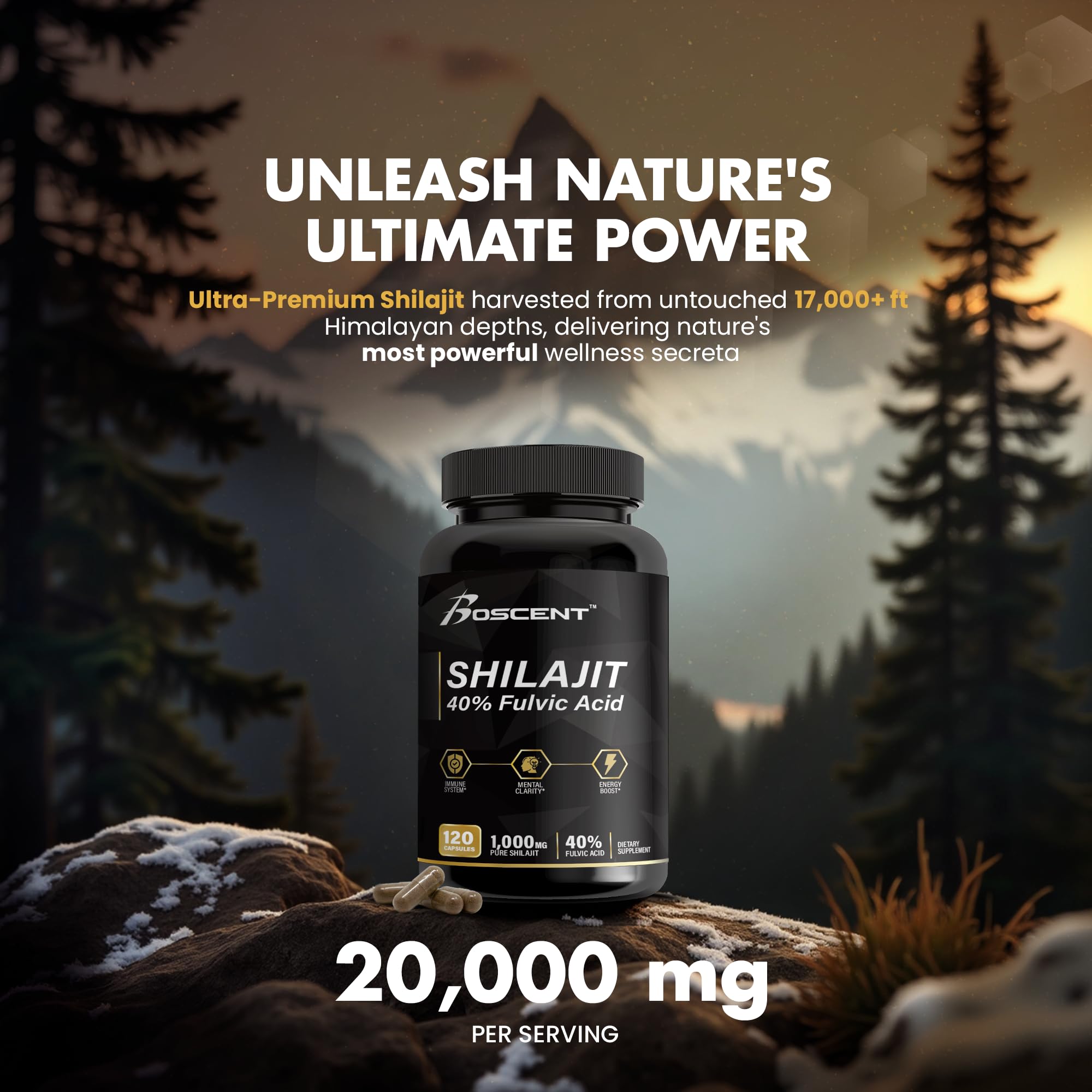 Boscent Shilajit Capsules – capsules faciles à prendre au quotidien pour soutenir la vitalité.