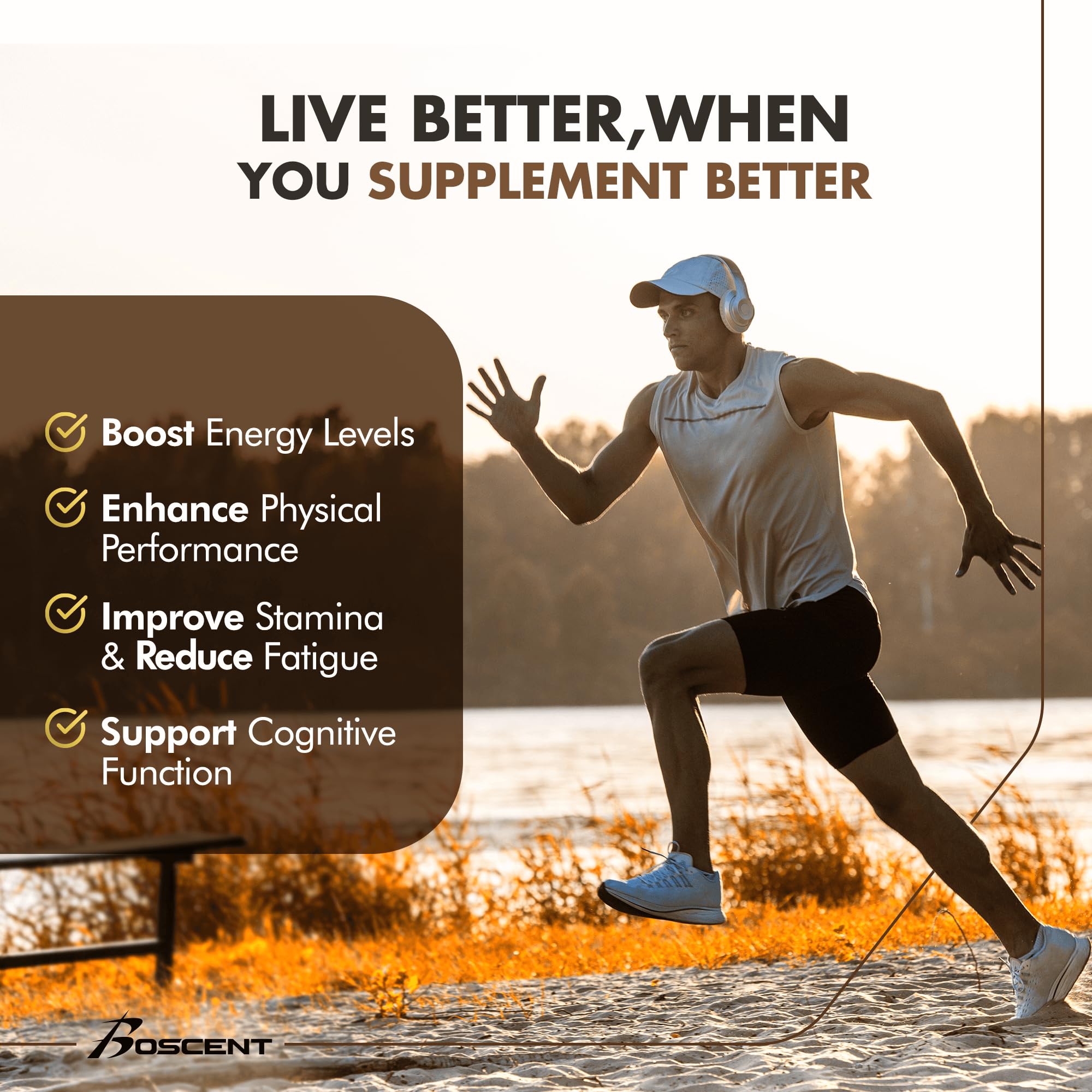 Boscent Shilajit Capsules – minéraux visibles et contenu élevé en fulvic acid pour le soutien général.
