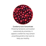 Botanic Choice extrait sans alcool – formulation pure sans alcool adaptée aux restrictions