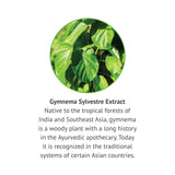 Botanic Choice Gymnema Sylvestre Extrait Liquide — flacon compact idéal pour voyage