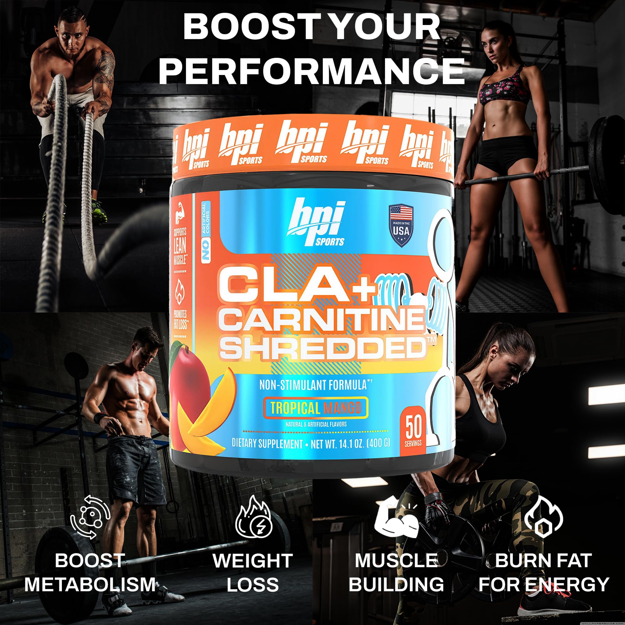 Renforcement du métabolisme avec CLA + Carnitine Shredded, utilisation quotidienne.