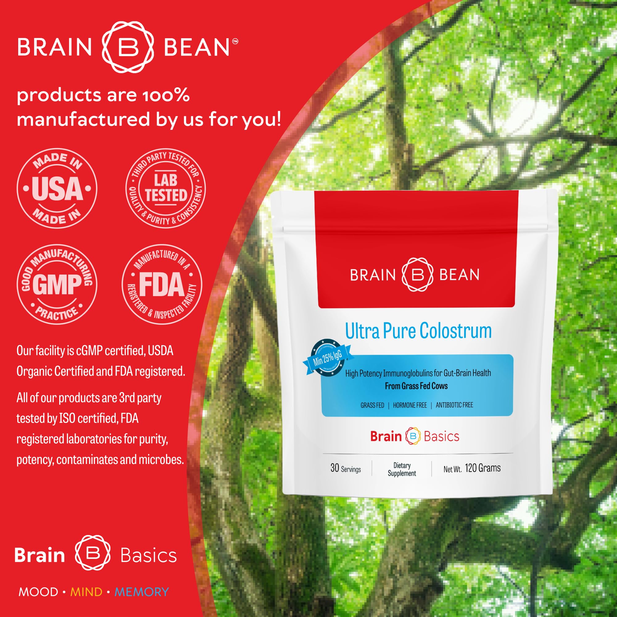 Poudre Brain Bean Colostrum pour utilisation quotidienne et routine santé