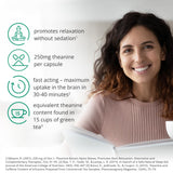 Brain Feed Pure L-théanine — flacon de 60 gélules pour utilisation pratique