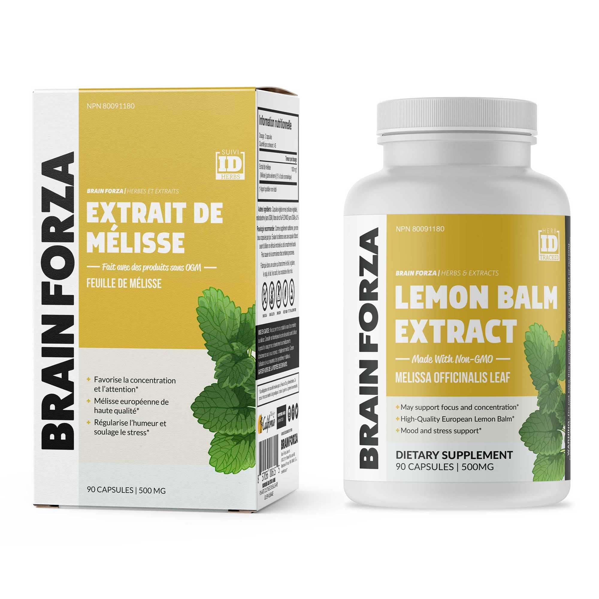 Brain Forza Mélisse R5 – contrôles qualité et fabrication en usine certifiée.