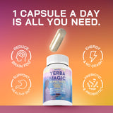 Capsules Brainista Yerba Magic sur plan de travail, usage quotidien et sans préparation.