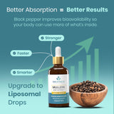 Breathium Emballage Eco-Responsable: emballage respectueux de l'environnement.