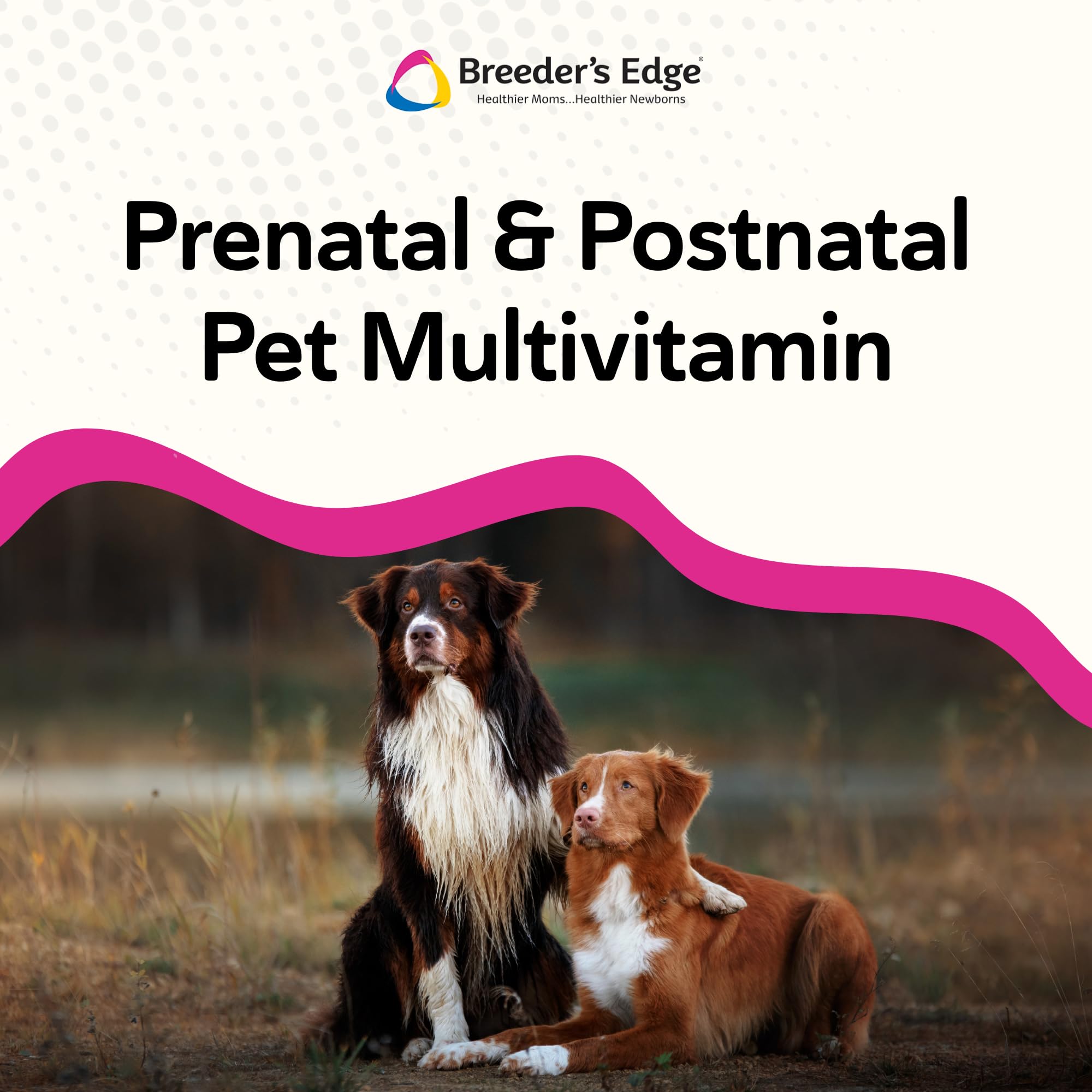 Breeder's Edge – Ingrédients antioxydants et nutriments clés pour le développement fœtal.