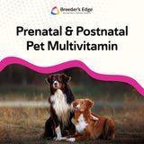 Breeder's Edge – Ingrédients antioxydants et nutriments clés pour le développement fœtal.