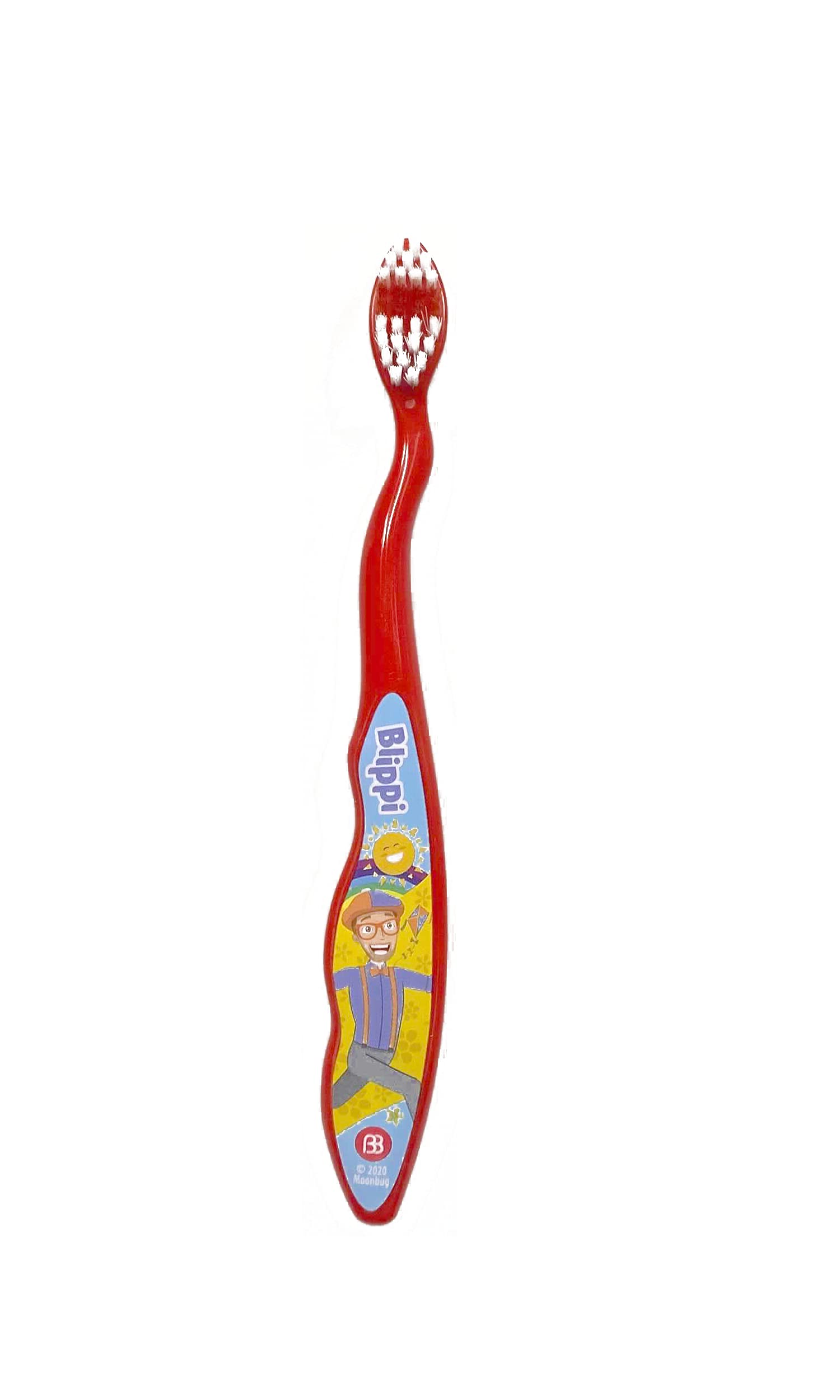 Ensemble de deux brosses, pratique à la maison et en voyage.