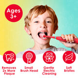 Brusheez-tête-de-brosse-remplacement – maintien des poils efficaces.