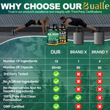 Ginseng Panax Bualle : énergie durable et concentration mentale.