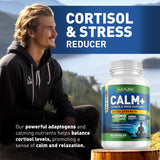Built by Nature Calm+ – ambiance-apaisante dans votre espace, pour un moment de détente.