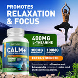 Built by Nature Calm+ – capsules-quotidiennes facilient une routine calme et focalisée.