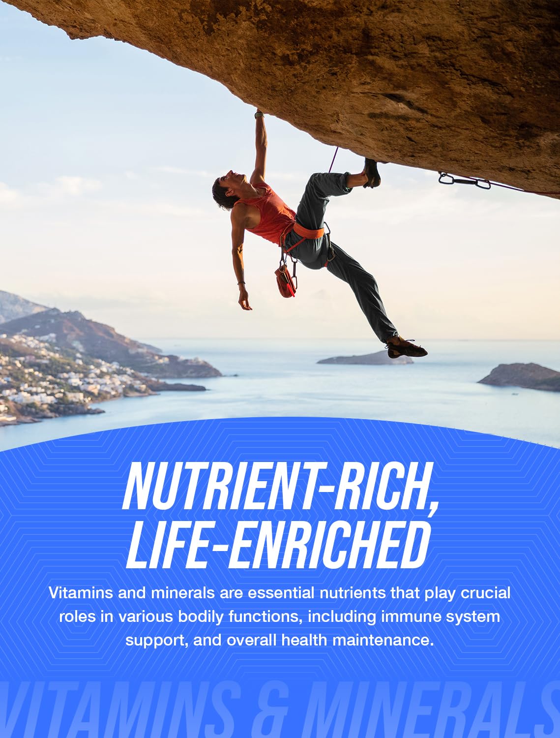 Poudre d'acétate de calcium BulkSupplements – qualité alimentaire et traçabilité