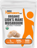 BulkSupplements crinière-de-lion extrait poudre bio — emballage pratique pour une dose quotidienne facile.