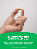 Emballage extérieur Bulksupplements Curcumine Extrait 500 mg, traçabilité et qualité.