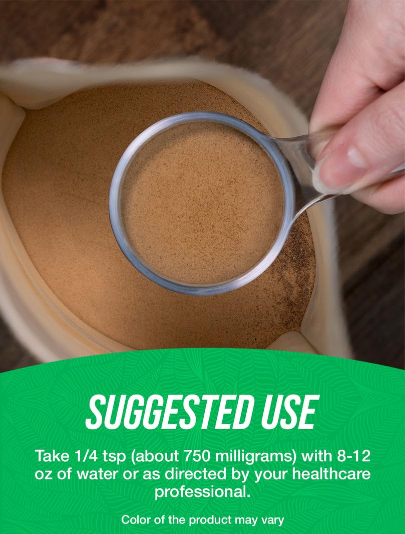 Texture fine de moringa BulkSupplements, prête à être intégrée dans recettes.