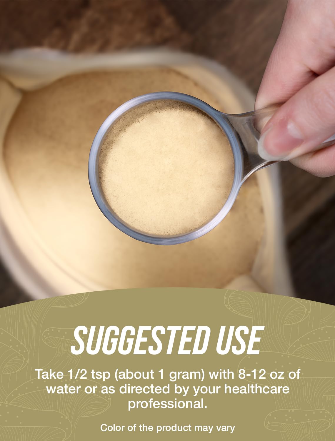 Extrait Reishi BulkSupplements : traçabilité et qualité garanties