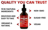 Burdvmd Trttvre étui-bouteille Ginseng Moringa énergie et clarté
