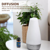 BURIBURI diffuseur aromathérapie pour diffusion d'huiles essentielles