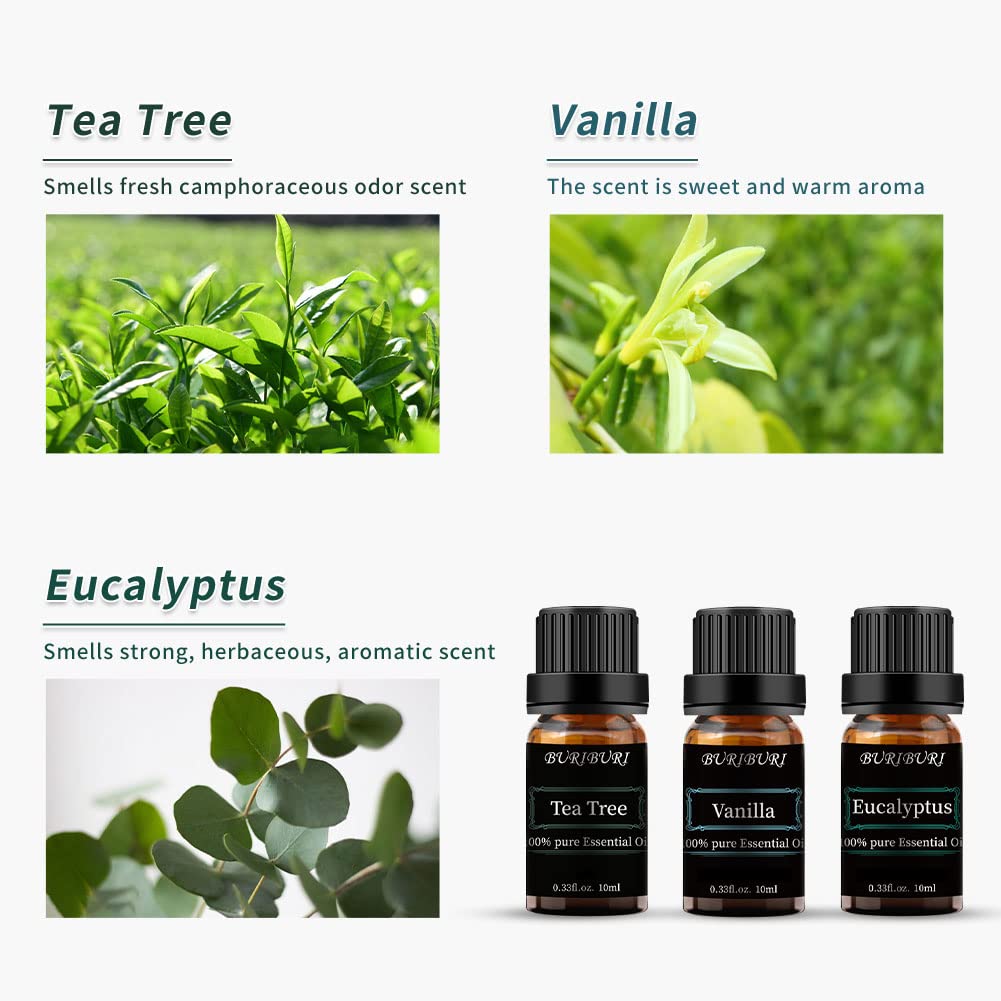 Huiles BURIBURI Eucalyptus en flacon ambré de 10 ml pour diffuser une fraîcheur vivifiante.