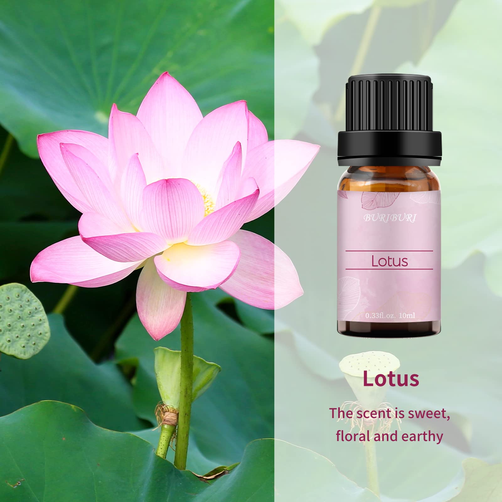 Buriburi huile essentielle pivoine en bouteille ambrée pour une ambiance florale romantique.