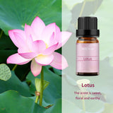 Buriburi huile essentielle pivoine en bouteille ambrée pour une ambiance florale romantique.