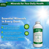 Verre avec Buried Treasure Fulvic Minerals, ajout neutre dans une boisson.