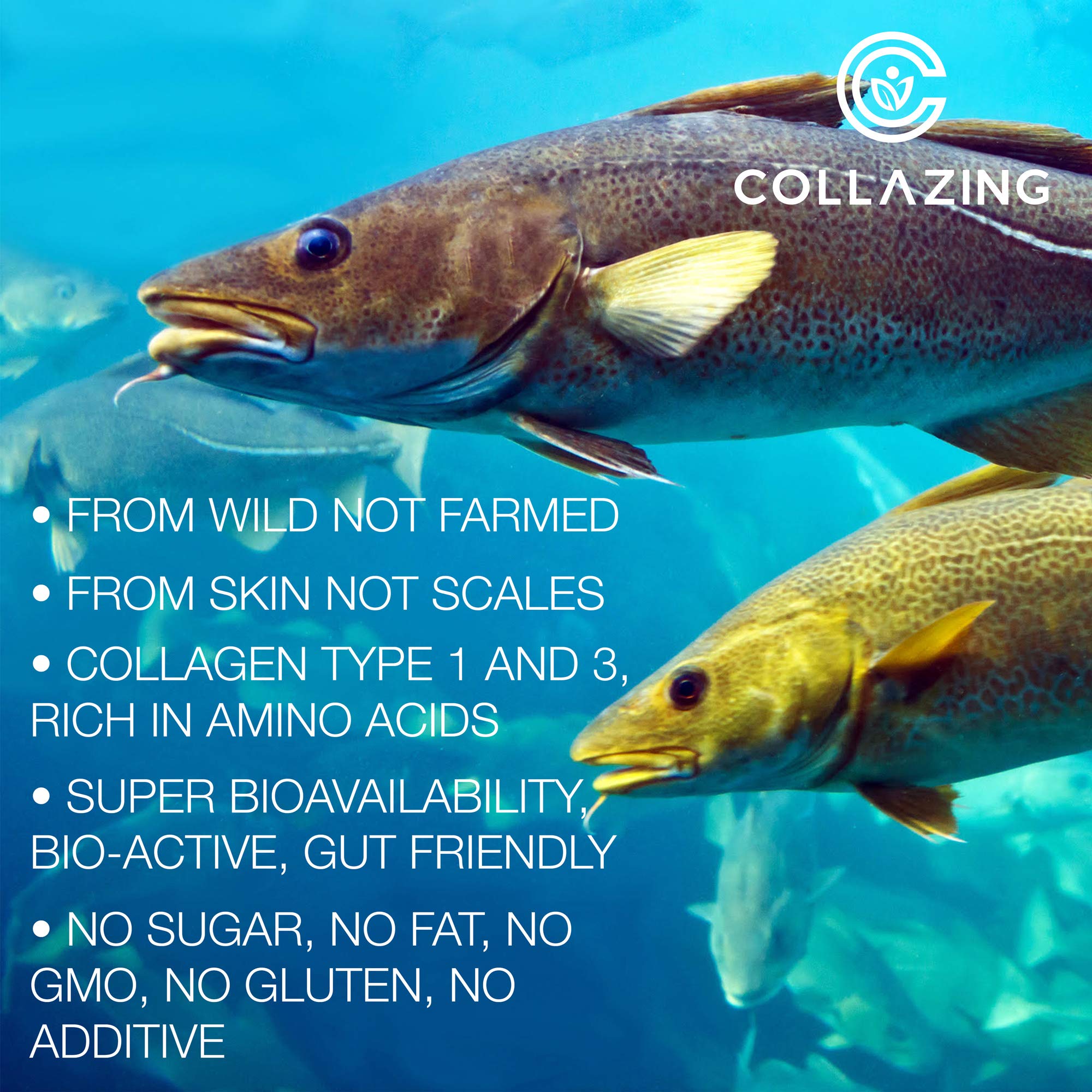 C COLLAZING – Os: soutien potentiel à la vitalité osseuse.