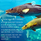 C COLLAZING – Os: soutien potentiel à la vitalité osseuse.