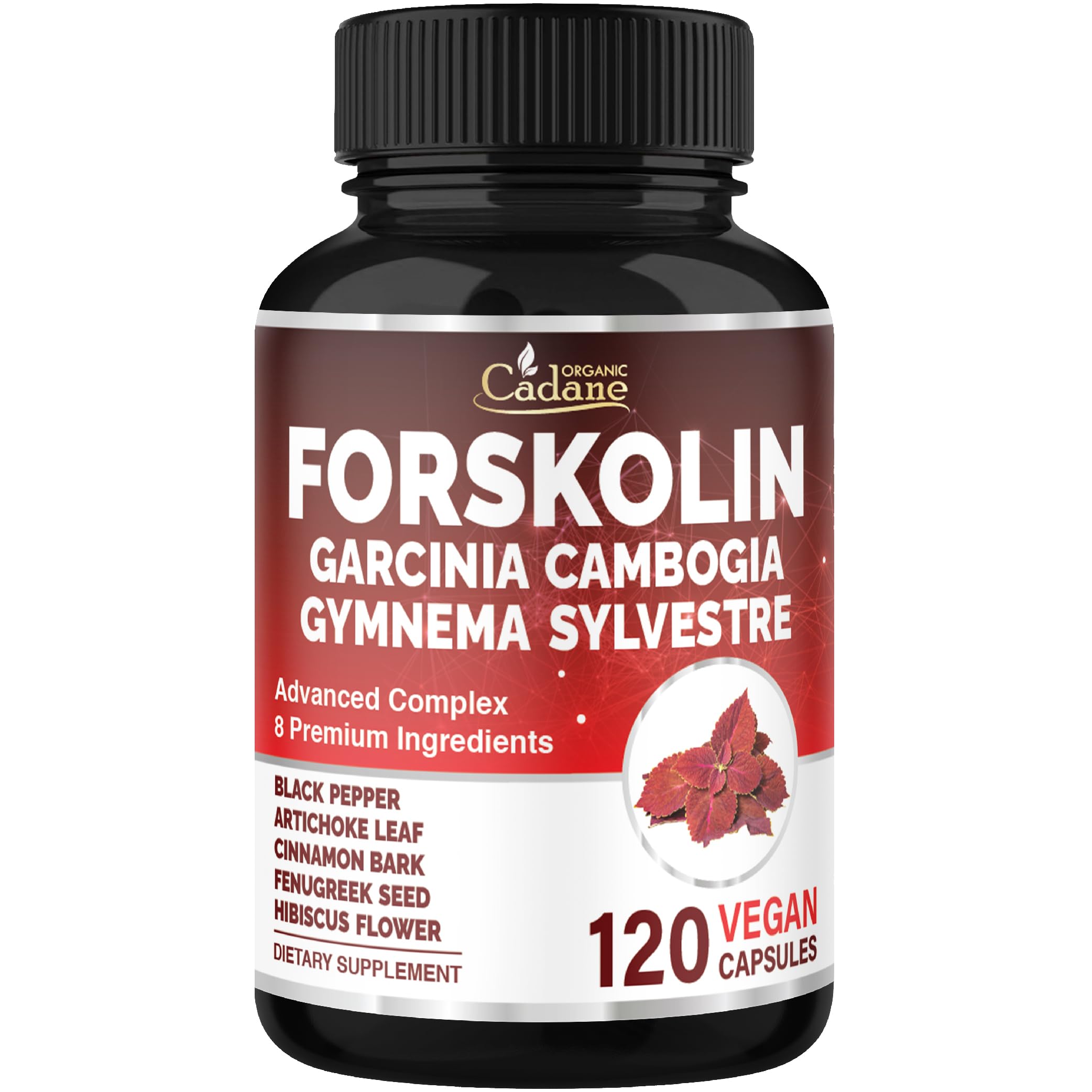 Cadane Forskolin – Bouteille de 120 gélules pour un soutien énergétique quotidien