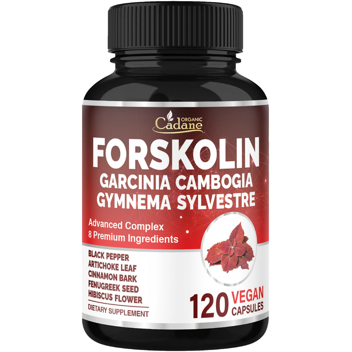 Cadane Forskolin – Bouteille de 120 gélules pour un soutien énergétique quotidien