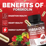 Cadane Forskolin – Feuilles d'artichaut pour le bien-être digestif