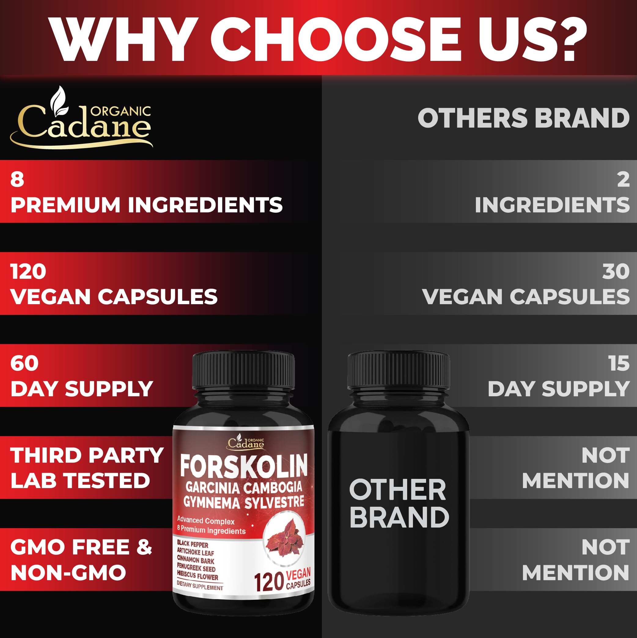 Cadane Forskolin – Cannelle et Hibiscus pour une énergie naturelle durable