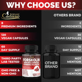 Cadane Forskolin – Cannelle et Hibiscus pour une énergie naturelle durable