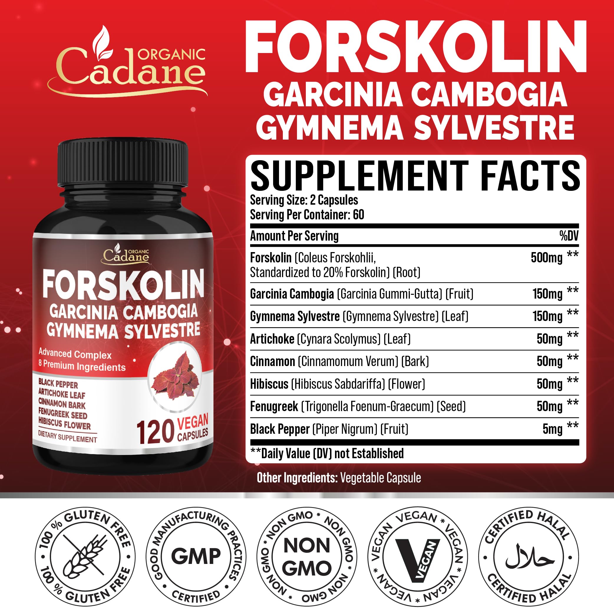 Cadane Forskolin et Garcinia Cambogia, ingrédients clés pour le soutien naturel