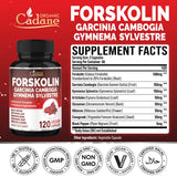 Cadane Forskolin et Garcinia Cambogia, ingrédients clés pour le soutien naturel