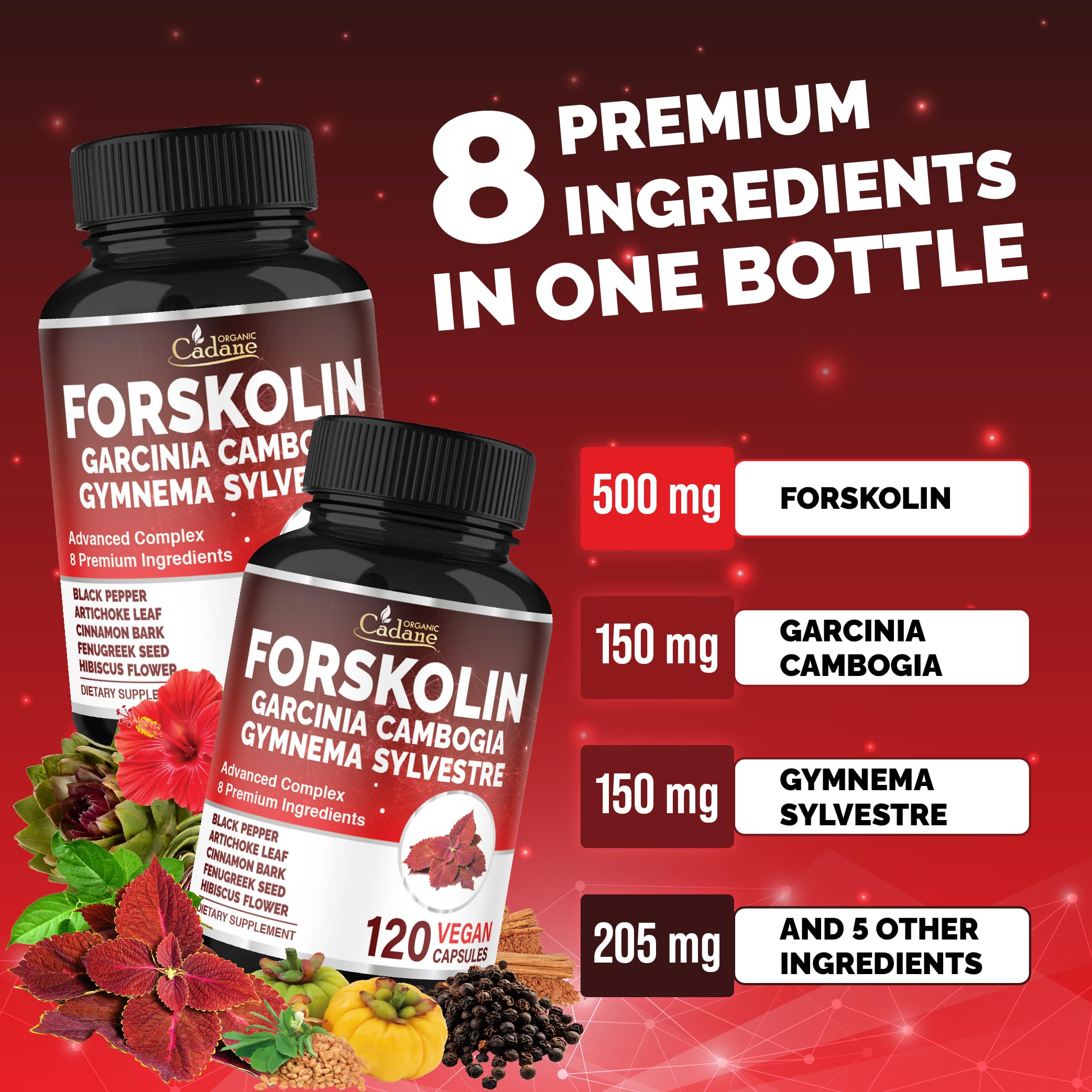 Cadane Forskolin – Gymnema Sylvestre pour l'équilibre et l'énergie