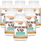 Caenciennes NAD+ liposomial en flacon, meilleure absorption potentielle.