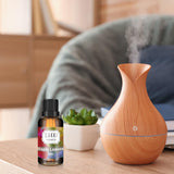 Diffusion homogène dans l'espace grâce au diffuseur CAKKI Maple Leave.