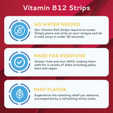 CALMOUR B12 Strips dissolution rapide sous la langue, sans eau pour gagner du temps.