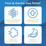 CALMOUR bandes dissolvables sans eau menthe – utilisation discrète et pratique