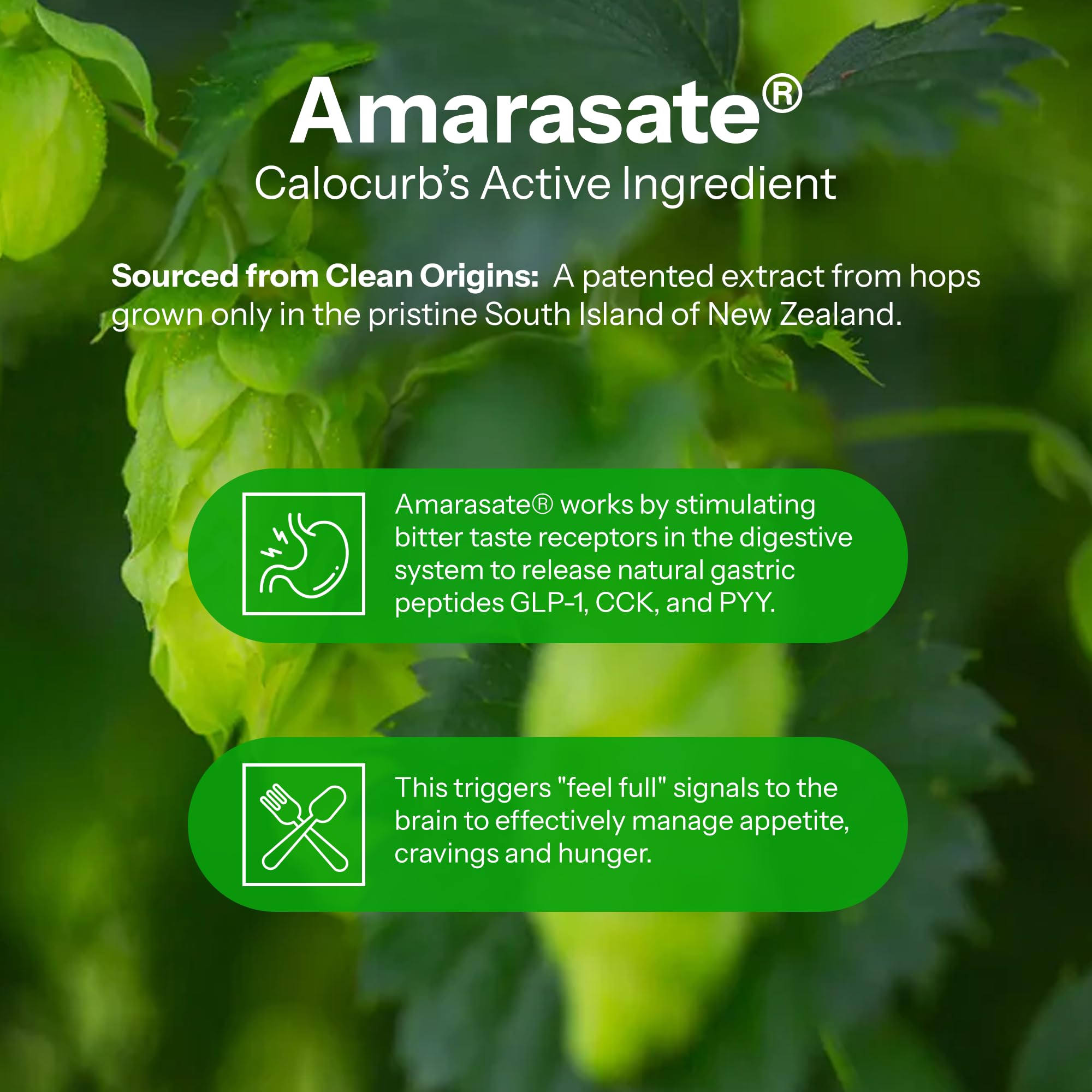 Ingrédients Amarasate dans Calocurb, extrait naturel soutenant l'approche végétale.
