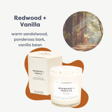Bougie Calyan Wax Co en grand verre Redwood Vanilla, parfum durable pour salon.
